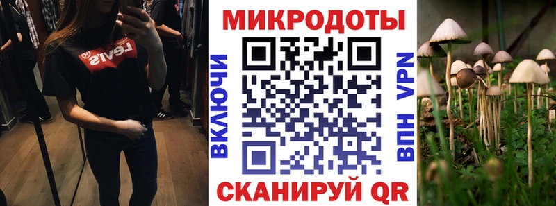 MEGA ONION  Хадыженск  Псилоцибиновые грибы MAGIC MUSHROOMS 